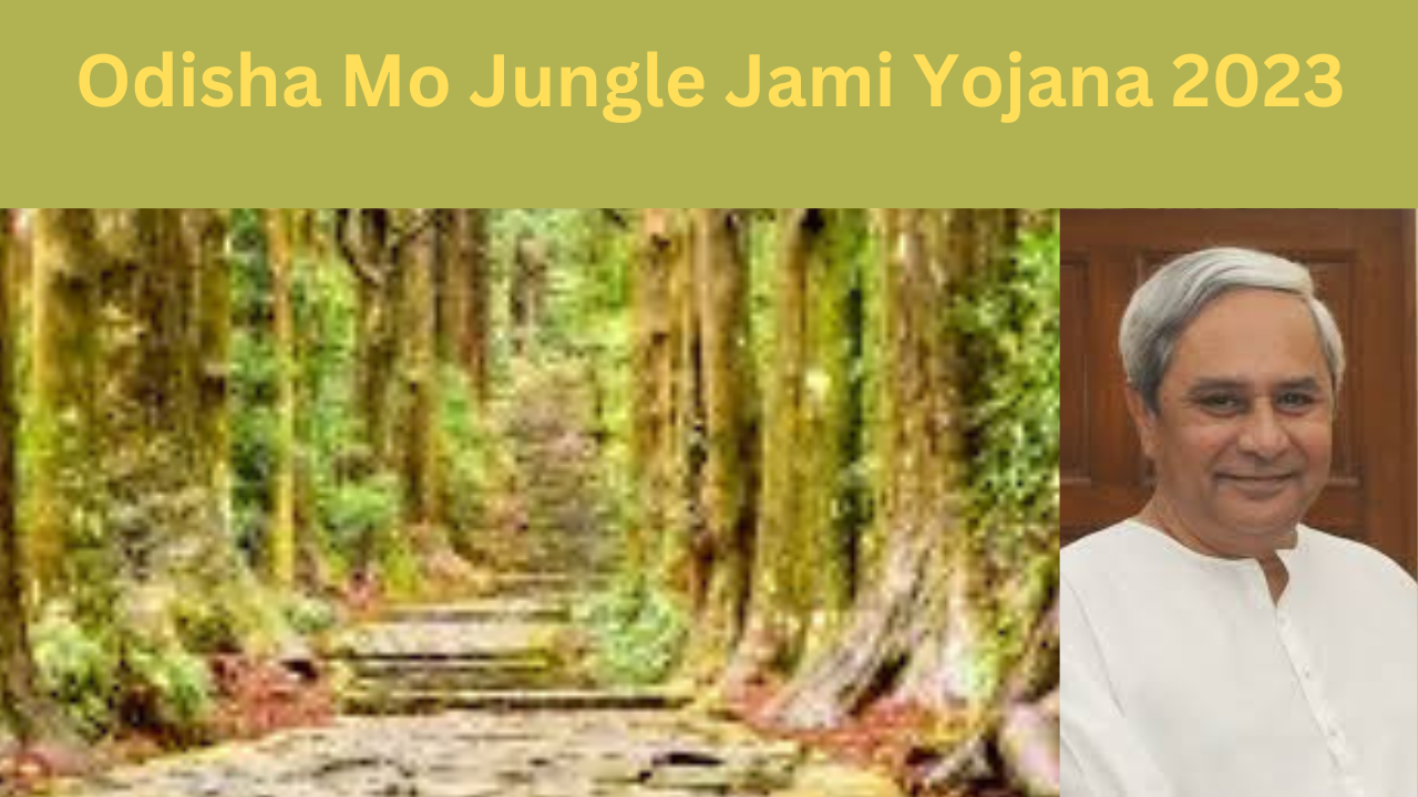 Odisha Mo Jungle Jami Yojana 2023:Registration Process and Advantages