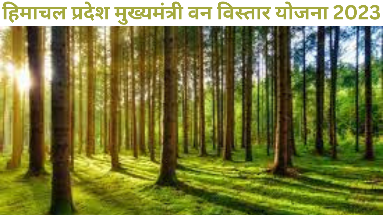 हिमाचल प्रदेश मुख्यमंत्री वन विस्तार योजना 2023 / Mukhyamantri Van Vistar Yojana 2023