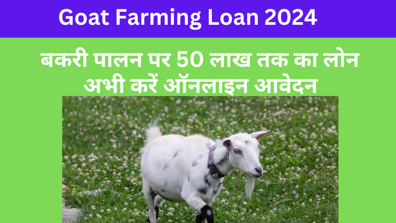 Goat Farming Loan 2024: बकरी पालन पर 50 लाख तक का लोन , अभी करें ऑनलाइन आवेदन