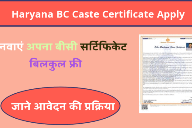 Haryana BC Caste Certificate Apply 2025: इस तरह बनवाएं अपना बीसी सर्टिफिकेट