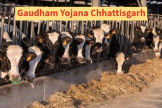 Gaudham Yojana Chhattisgarh