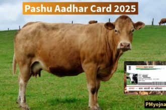 Pashu Aadhar Card 2025 – Online Application, Status Check & Full Details