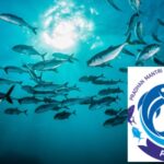 Pradhan Mantri Matsya Sampada Yojana